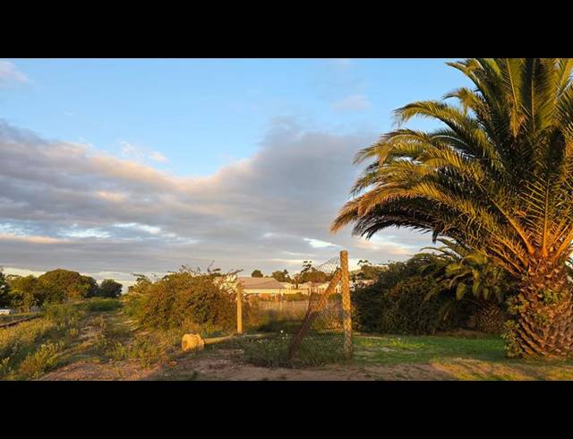 BUSINESS FOR SALE IN ALBERTINIA